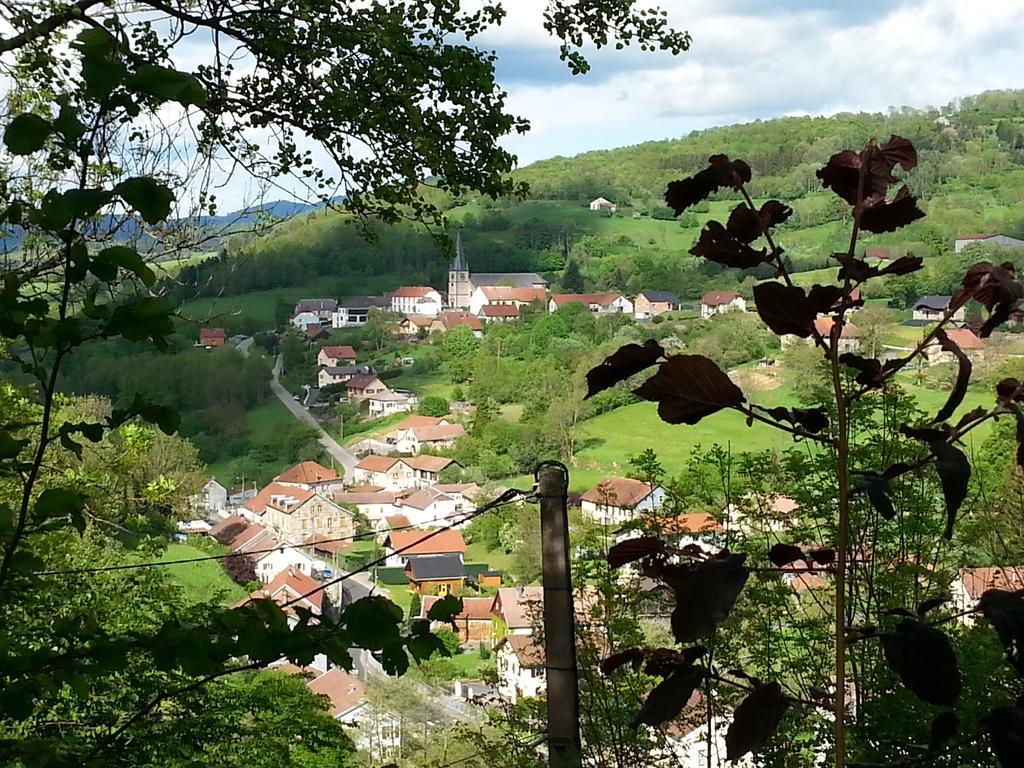Giteovosges La Croix-aux-Mines Esterno foto