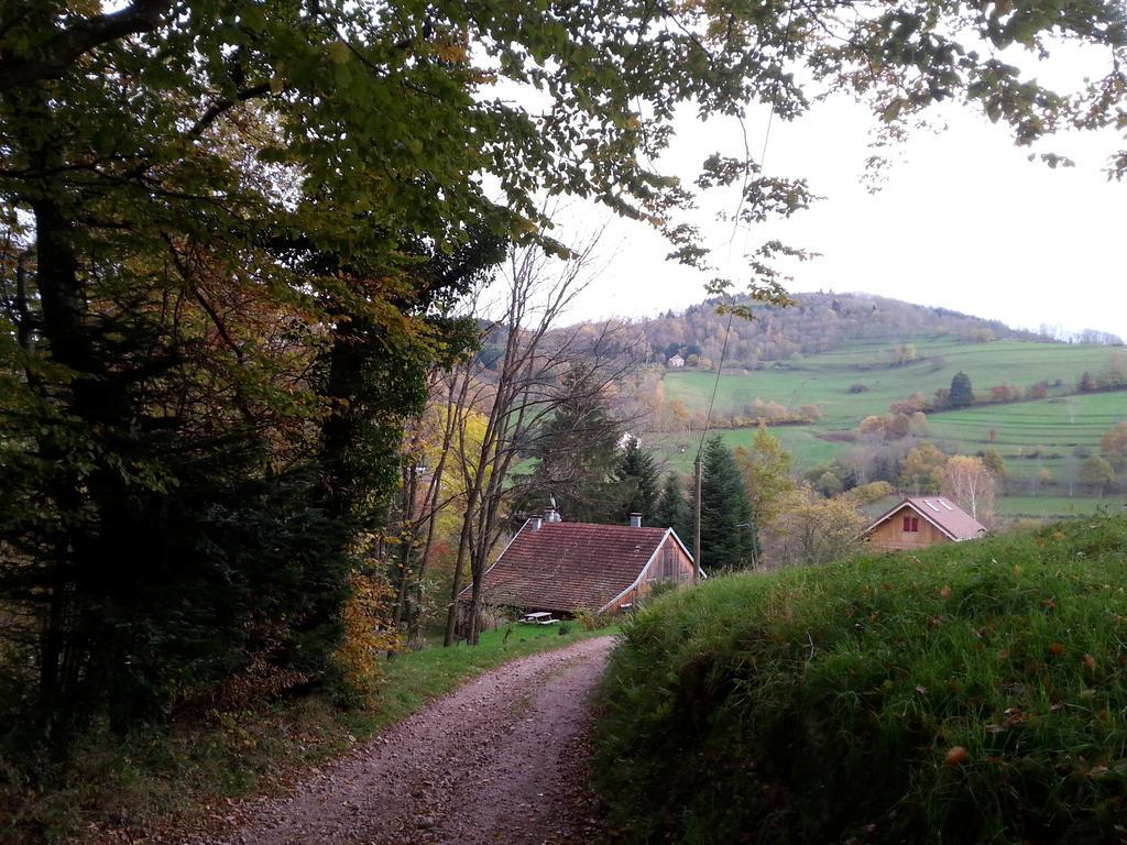 Giteovosges La Croix-aux-Mines Esterno foto
