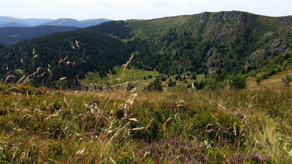 Giteovosges La Croix-aux-Mines Esterno foto