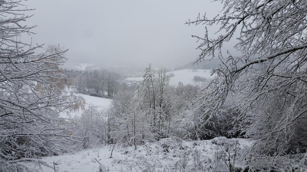 Giteovosges La Croix-aux-Mines Esterno foto
